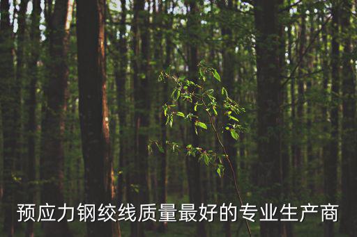 成都市鋼絞線錨具生產廠家，四川生產鋼絞線的廠家有哪些