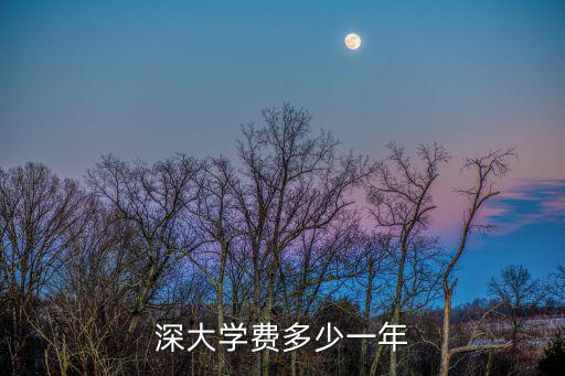 深大學費多少一年