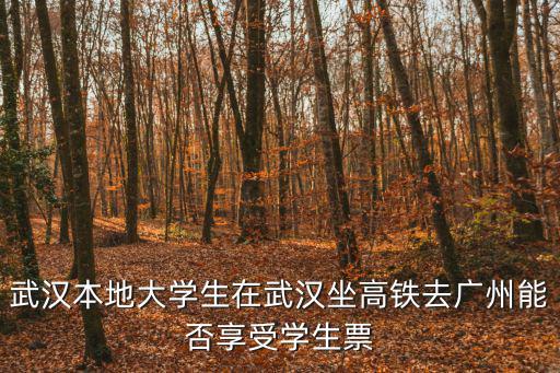 武漢人能去廣州，武漢坐火車到廣州能否隨時在火車站買到票只要能上車就行