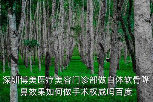 深圳博美醫療美容門診部做自體軟骨隆鼻效果如何做手術權威嗎百度