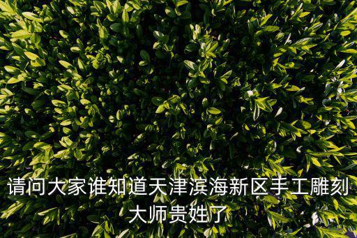 請問大家誰知道天津濱海新區手工雕刻大師貴姓了