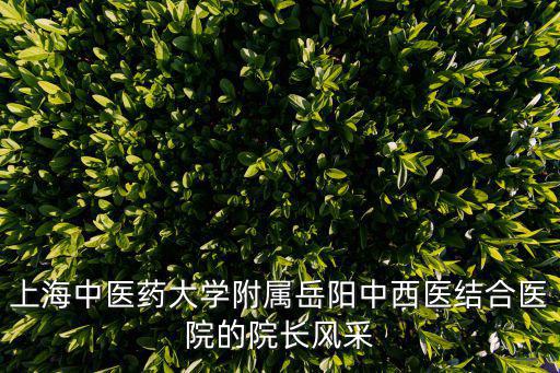 上海中醫(yī)藥大學附屬岳陽中西醫(yī)結(jié)合醫(yī)院的院長風采