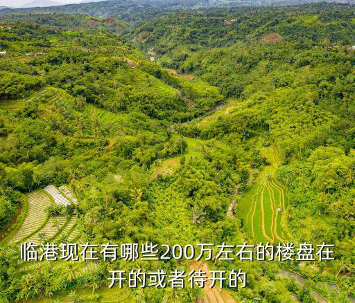 臨港現在有哪些200萬左右的樓盤在開的或者待開的