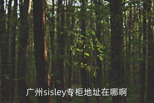 廣州的奧特萊斯在那個地方，廣州sisley專柜地址在哪啊