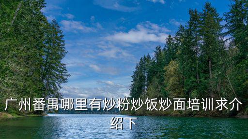 廣州番禺哪里有炒粉炒飯炒面培訓(xùn)求介紹下