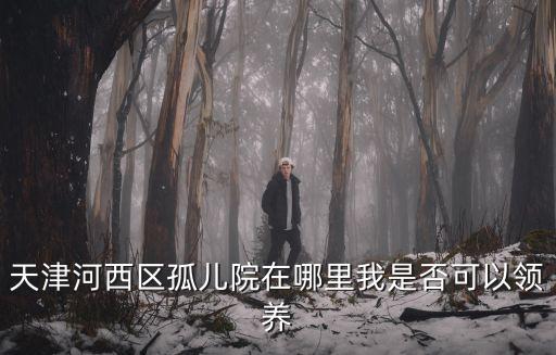 天津市孤兒領(lǐng)養(yǎng)，哪里有孤兒可以領(lǐng)養(yǎng)