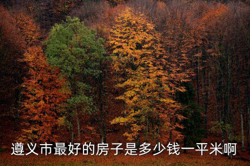 遵義市最好的房子是多少錢一平米啊