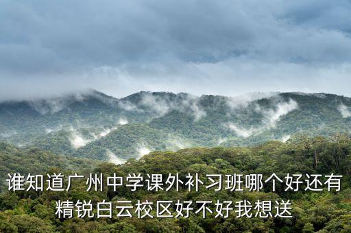 誰知道廣州中學(xué)課外補(bǔ)習(xí)班哪個(gè)好還有精銳白云校區(qū)好不好我想送