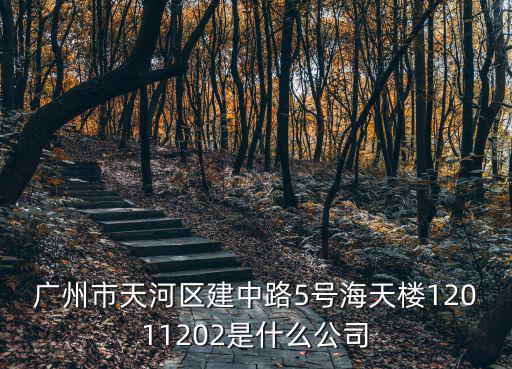 廣州市天河區建中路5號海天樓12011202是什么公司
