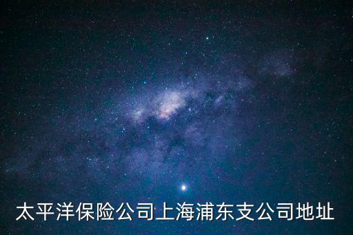 太平洋保險公司上海浦東支公司地址