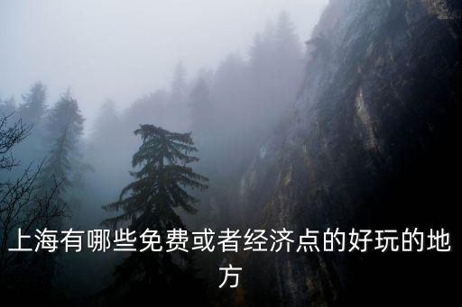 上海有哪些免費(fèi)或者經(jīng)濟(jì)點(diǎn)的好玩的地方