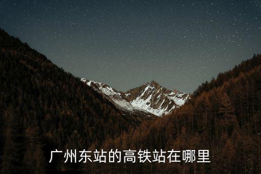 廣州東站的高鐵站在哪里