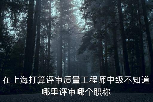 在上海打算評審質量工程師中級不知道哪里評審哪個職稱