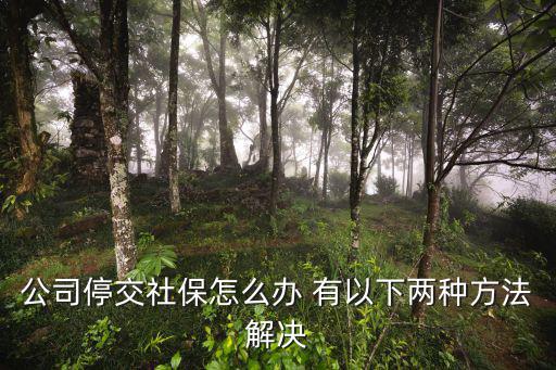 公司停交社保怎么辦 有以下兩種方法解決
