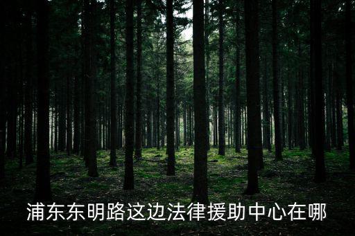 楊浦區法律援助中心地址，上海法律援助中心