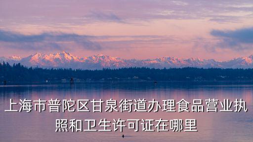 上海市普陀區甘泉街道辦理食品營業執照和衛生許可證在哪里