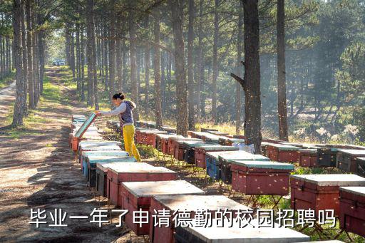 畢業(yè)一年了申請(qǐng)德勤的校園招聘嗎