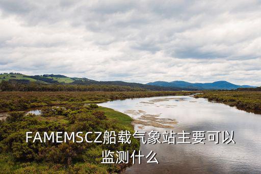 FAMEMSCZ船載氣象站主要可以監測什么
