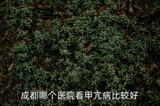 成都哪個(gè)醫(yī)院看甲亢病比較好