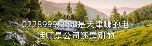 02289998888是天津哪的電話啊是公司還是別的