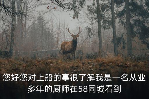 您好您對上船的事很了解我是一名從業(yè)多年的廚師在58同城看到