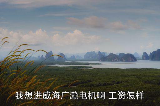 我想進威海廣瀨電機啊 工資怎樣