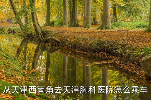 從天津西南角去天津胸科醫院怎么乘車
