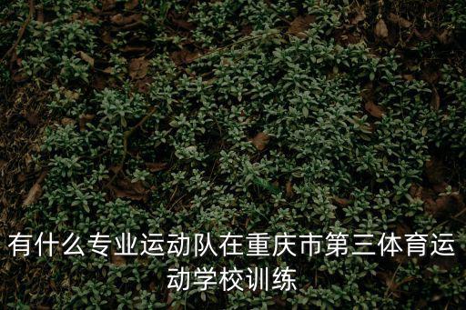 周慶春 重慶市體育局，重慶哪有正規足球訓練