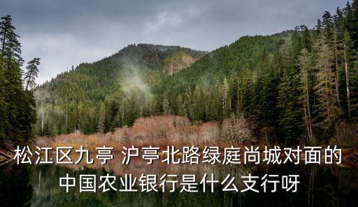 農行上海市虹口支行，松江區九亭 滬亭北路綠庭尚城對面的中國農業銀行是什么支行呀