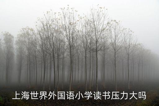 上海世界外國語小學讀書壓力大嗎
