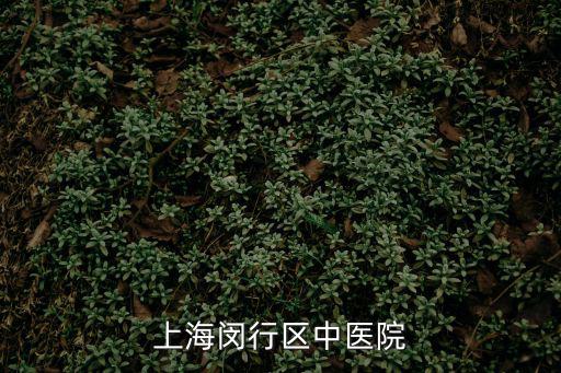上海市閔行區中醫醫院可以體檢中心，閔行中醫院