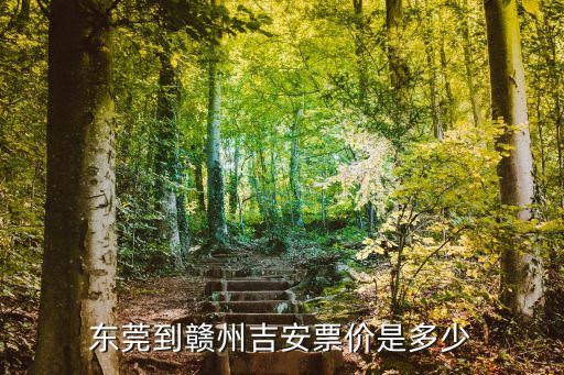 東莞到贛州吉安票價是多少