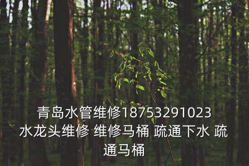 青島水管維修18753291023水龍頭維修 維修馬桶 疏通下水 疏通馬桶