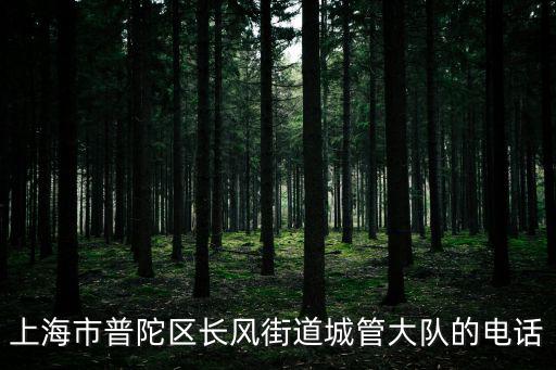 上海市普陀區長風街道城管大隊的電話