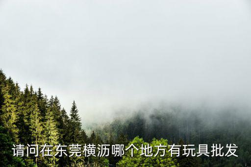 請(qǐng)問(wèn)在東莞橫瀝哪個(gè)地方有玩具批發(fā)