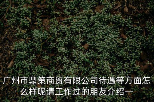 廣州市鼎策商貿有限公司待遇等方面怎么樣呢請工作過的朋友介紹一