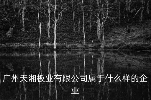 廣州天湘板業(yè)有限公司屬于什么樣的企業(yè)