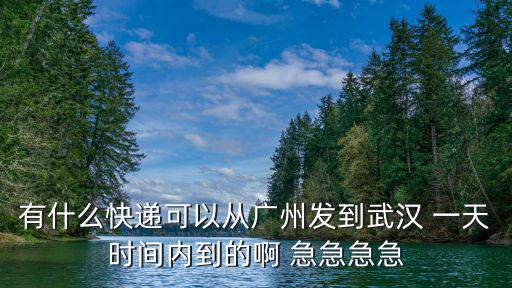 有什么快遞可以從廣州發到武漢 一天時間內到的啊 急急急急