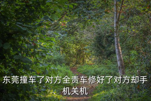 東莞虎門大橋車禍，東莞撞車了對方全責車修好了對方卻手機關機