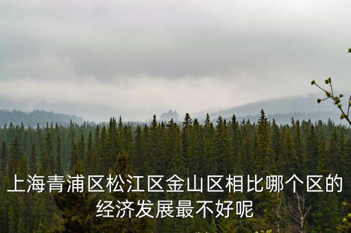 上海青浦區松江區金山區相比哪個區的經濟發展最不好呢