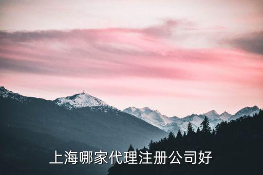 上海哪家代理注冊公司好