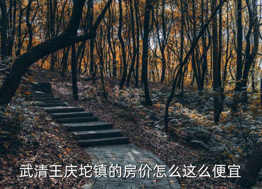 武清王慶坨鎮的房價怎么這么便宜