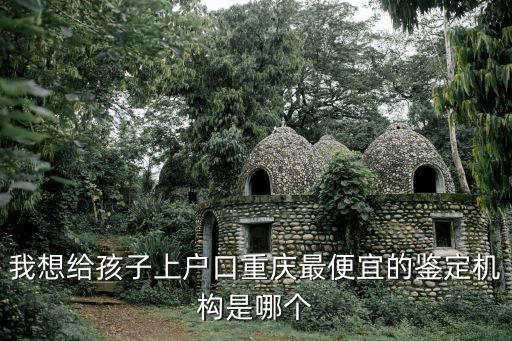 重慶市涪陵區(qū)福華大數(shù)據(jù)，我想給孩子上戶口重慶最便宜的鑒定機(jī)構(gòu)是哪個