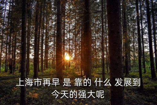 上海市再早 是 靠的 什么 發(fā)展到今天的強大呢