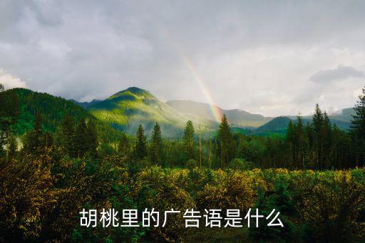 胡桃里的廣告語是什么
