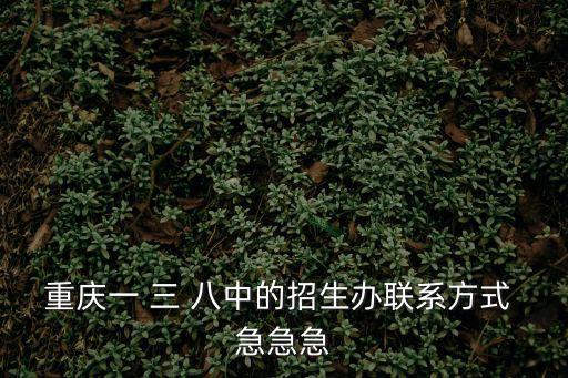 重慶一 三 八中的招生辦聯系方式 急急急