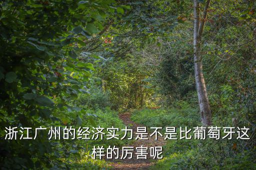 浙江廣州的經濟實力是不是比葡萄牙這樣的厲害呢