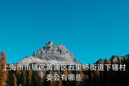 上海市市轄區黃浦區五里橋街道下轄村委會有哪些