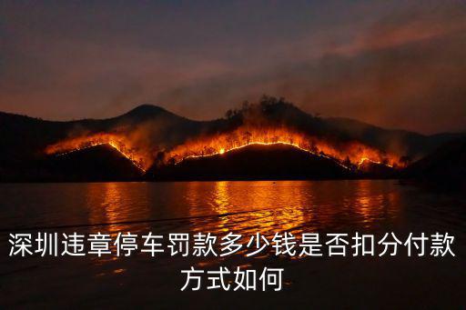 深圳違章停車罰款多少錢是否扣分付款方式如何