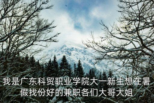 我是廣東科貿(mào)職業(yè)學(xué)院大一新生想在暑假找份好的兼職各們大哥大姐